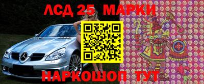 Альфа ПВП Новодвинск