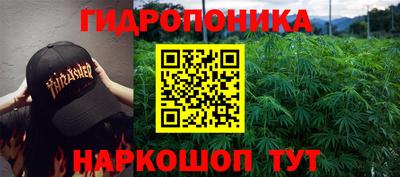 мдпв Новокубанск