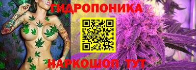 MDMA Новозыбков