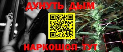 Альфа ПВП Новодвинск