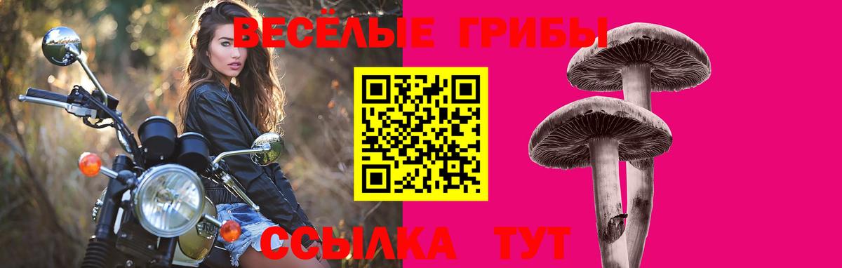 Галлюциногенные грибы MAGIC MUSHROOMS Чистополь